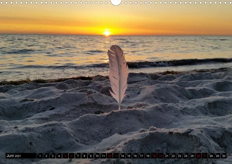 Ostseekalender 2021