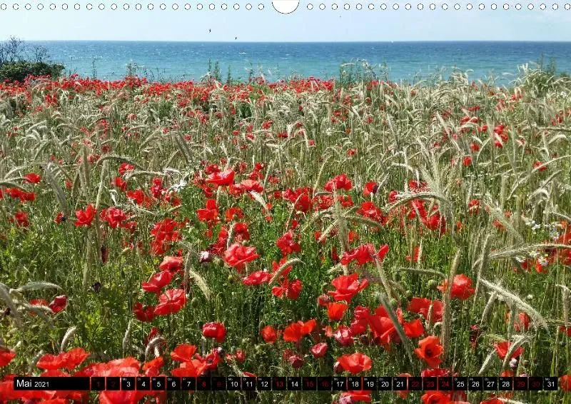 Ostseekalender 2021