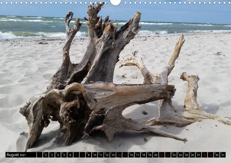 Ostseekalender 2021