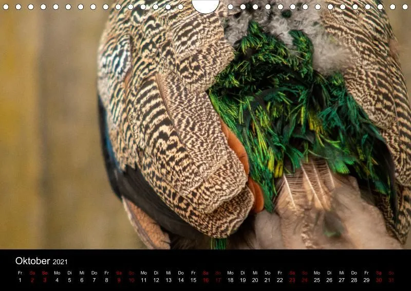 Tierkalender DIN A4