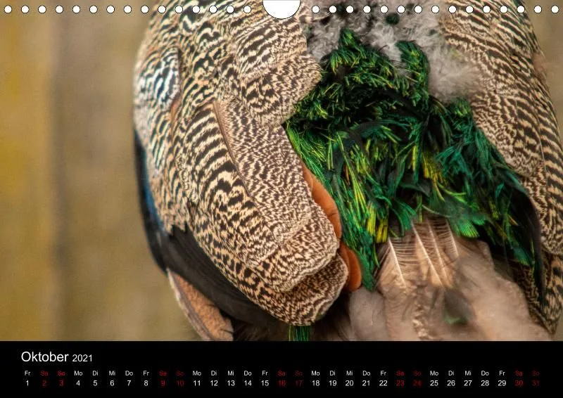 Tierkalender DIN A4