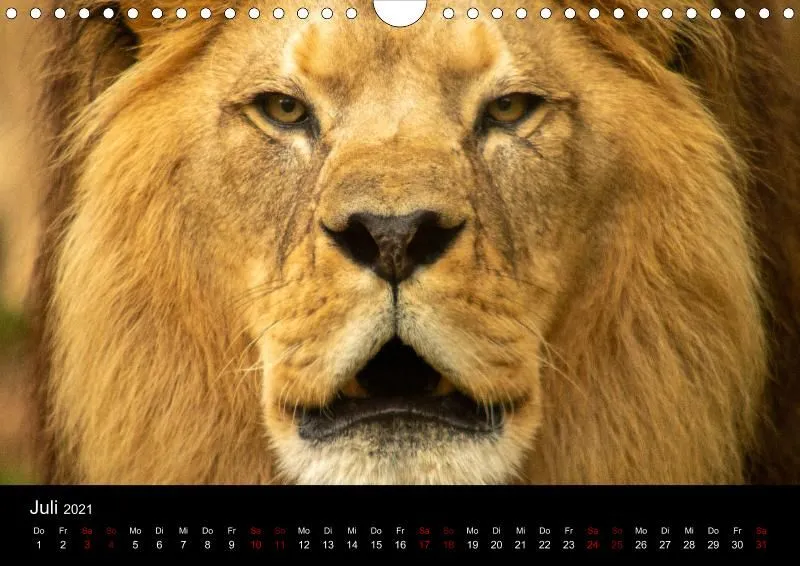 Tierkalender DIN A4