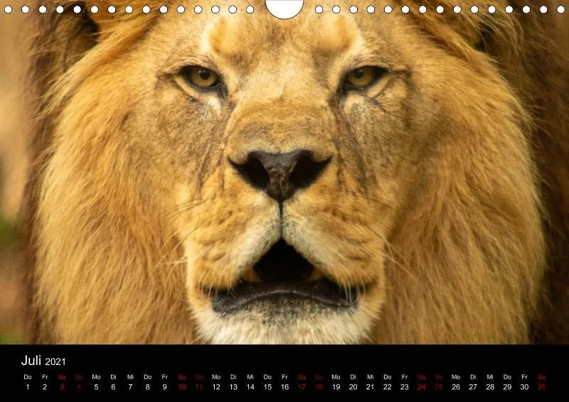 Tierkalender DIN A4