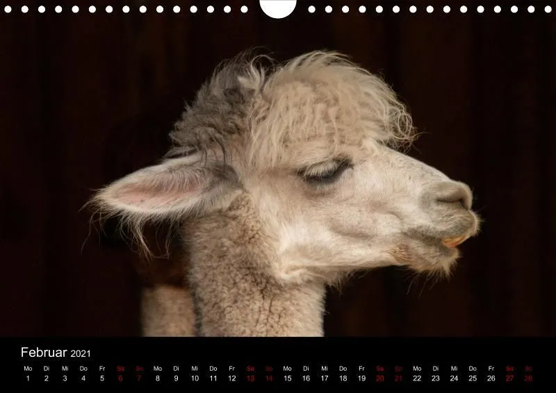 Tierkalender DIN A4