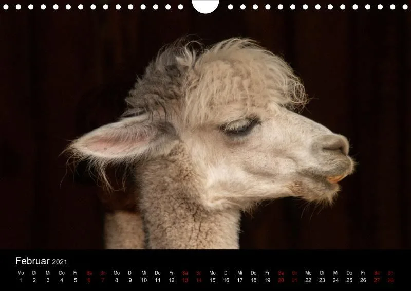 Tierkalender DIN A4