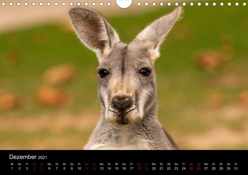 Tierkalender DIN A4