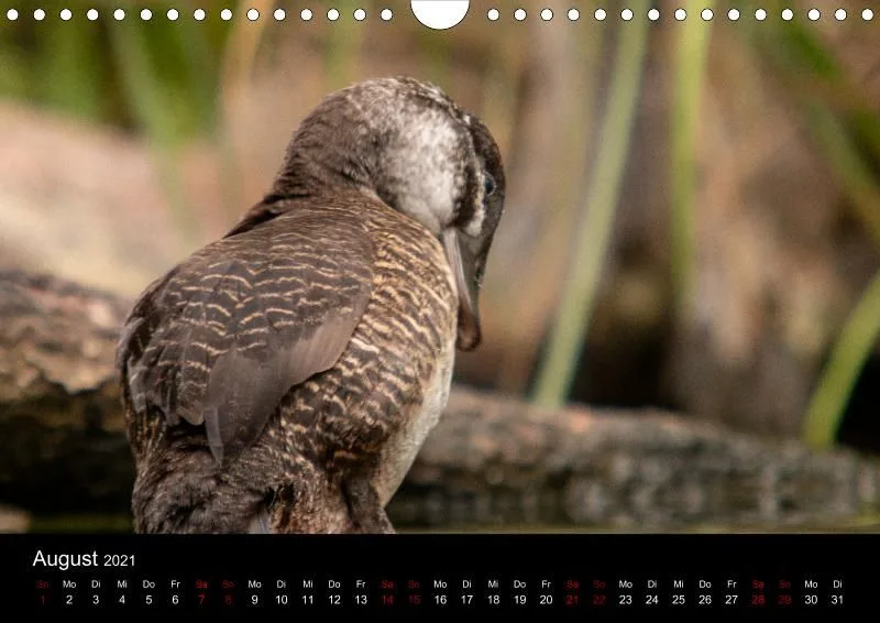 Tierkalender DIN A4