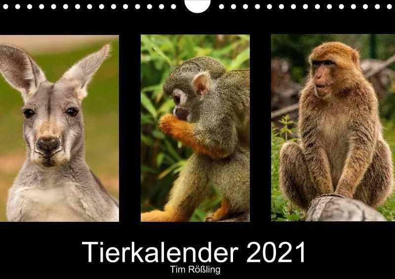 Tierkalender DIN A4