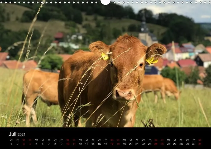 Kalender 2021