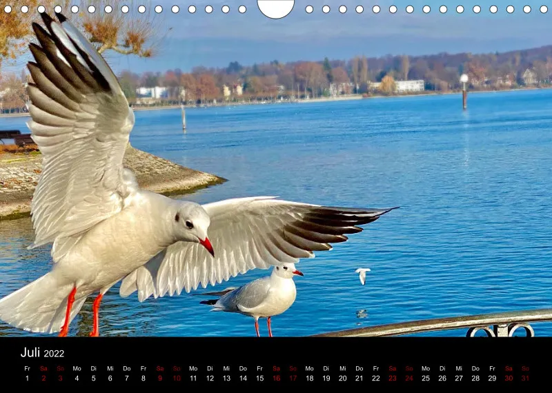 Kalender A4 Konstanz 2022 V1