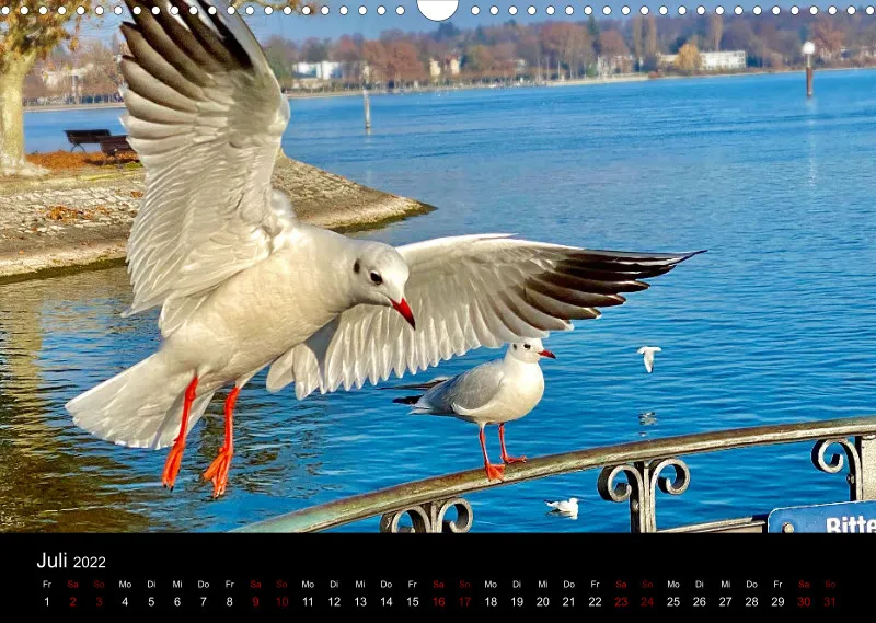 Kalender A3 Konstanz 2022 V2