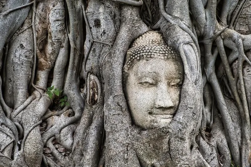 Buddha Statue