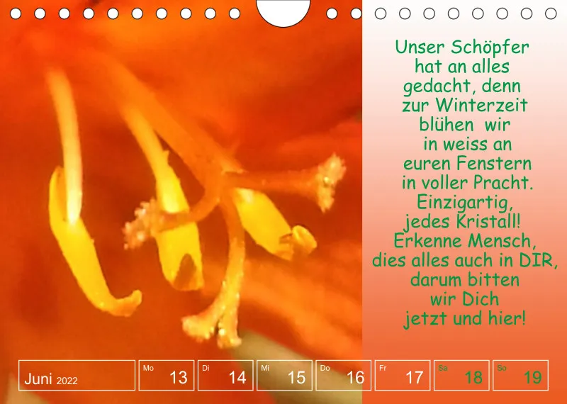 Projekt Nr. 1