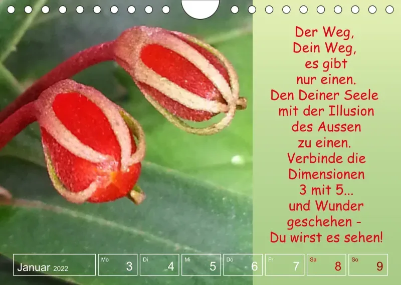 Projekt Nr. 1