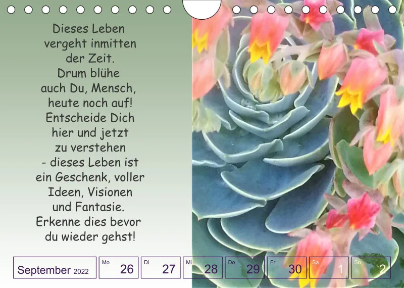 Projekt Nr. 1