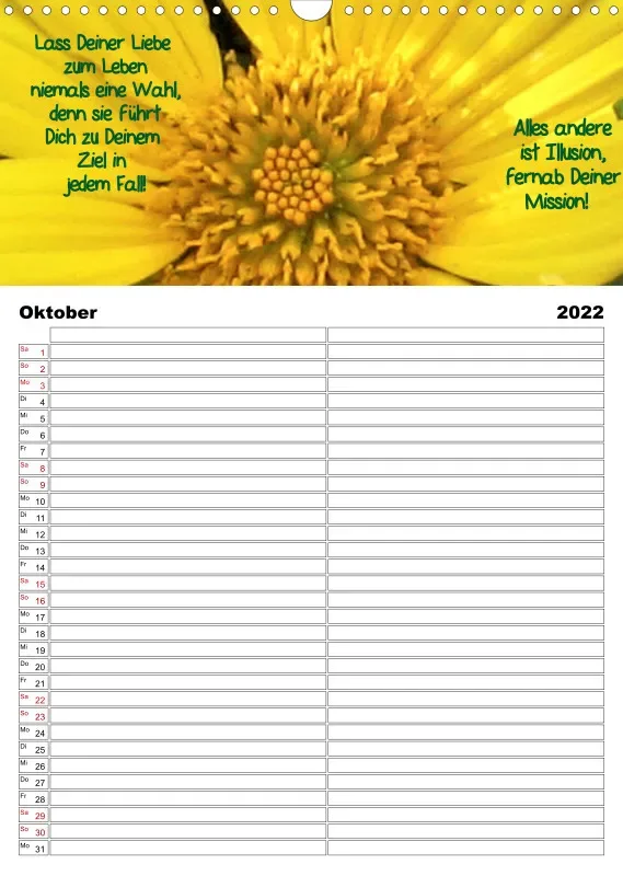 Projekt Nr. 21