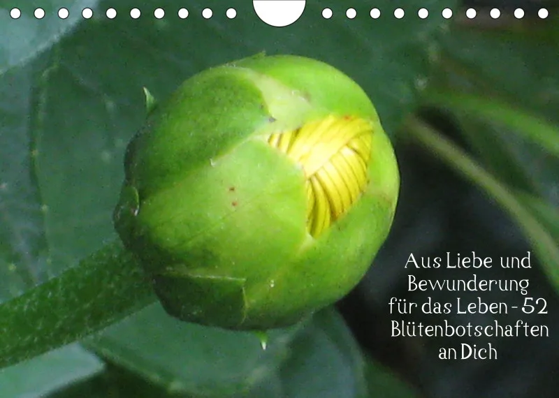 copy: Projekt Nr. 1
