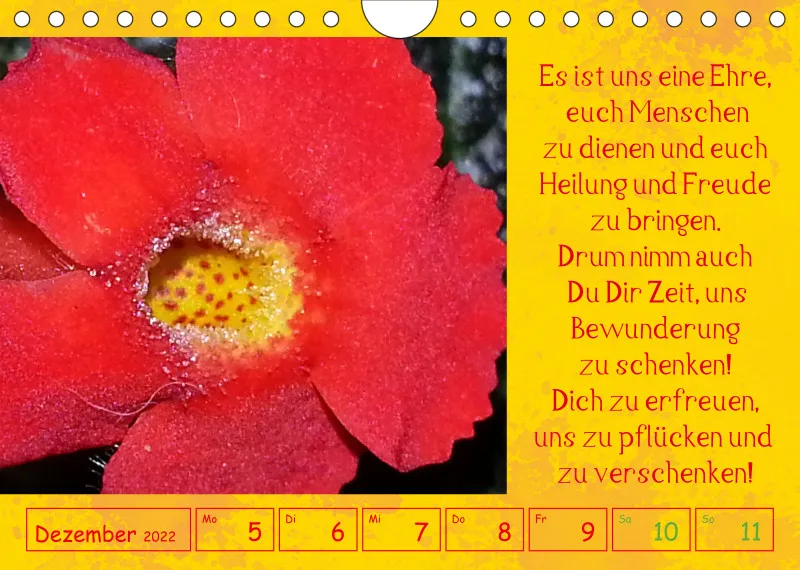 copy: Projekt Nr. 1