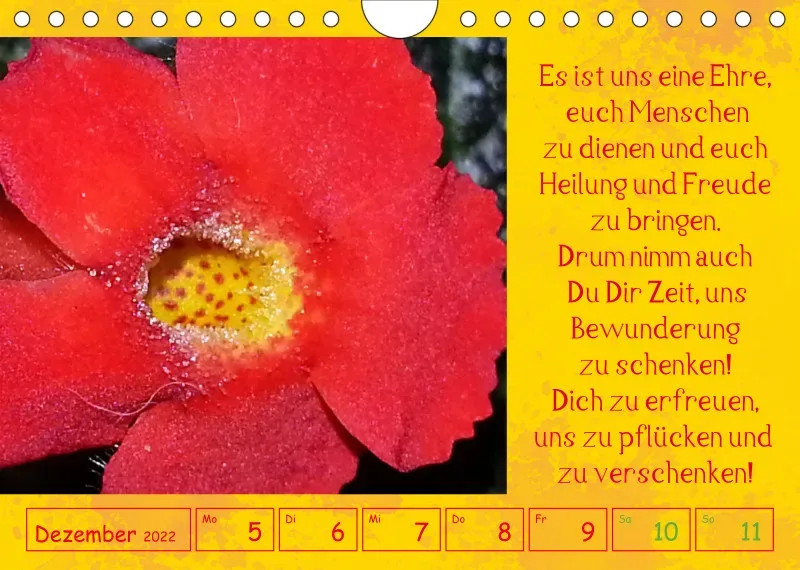 copy: Projekt Nr. 1