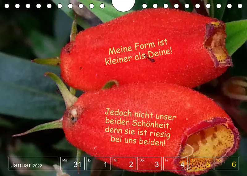 Projekt Nr. 1