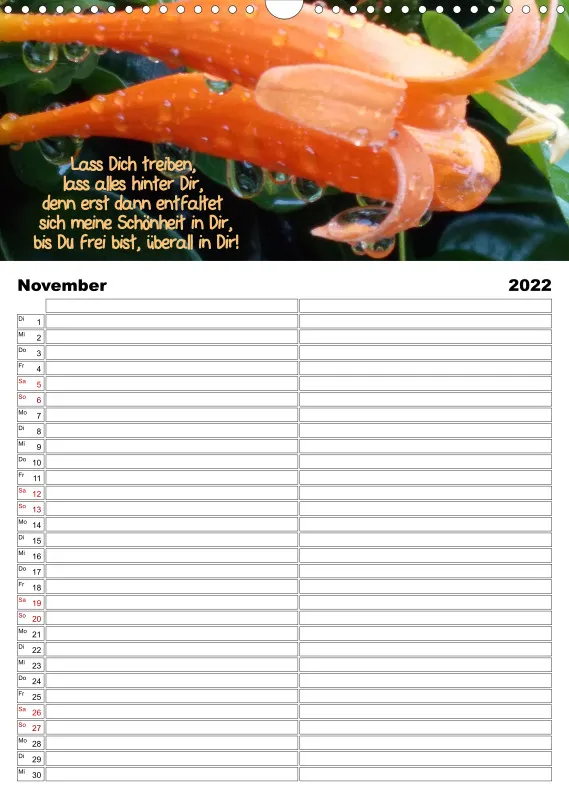 Projekt Nr. 21