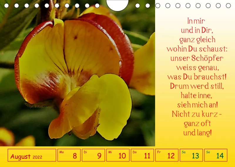 copy: Projekt Nr. 1