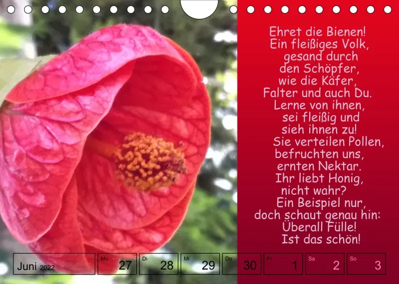 Projekt Nr. 1