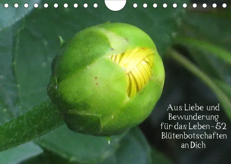 copy: Projekt Nr. 1