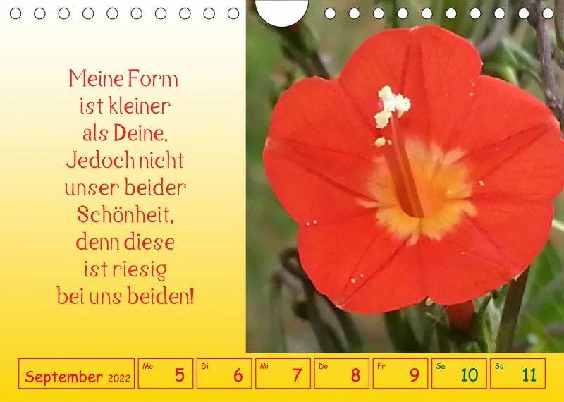 copy: Projekt Nr. 1