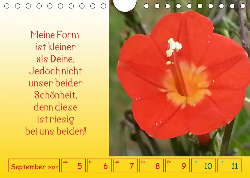 copy: Projekt Nr. 1