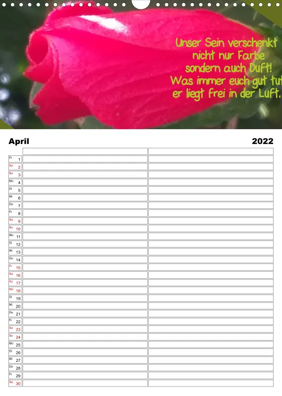 Projekt Nr. 21