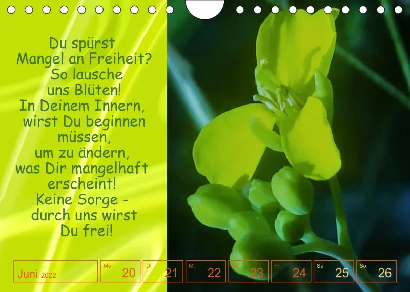 Projekt Nr. 1