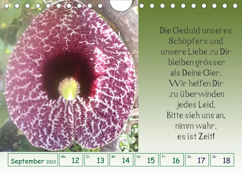 copy: Projekt Nr. 1