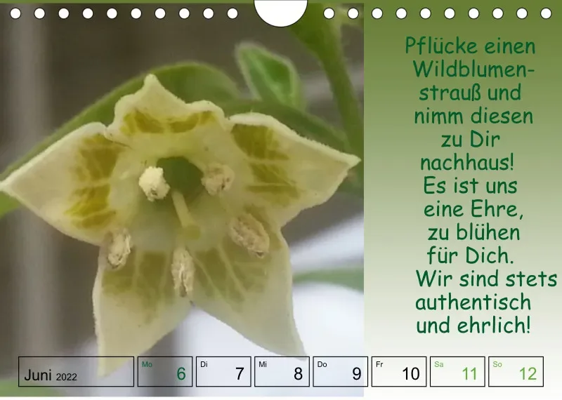 Projekt Nr. 1