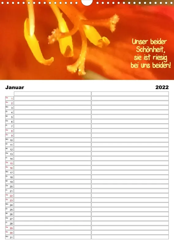 Projekt Nr. 21