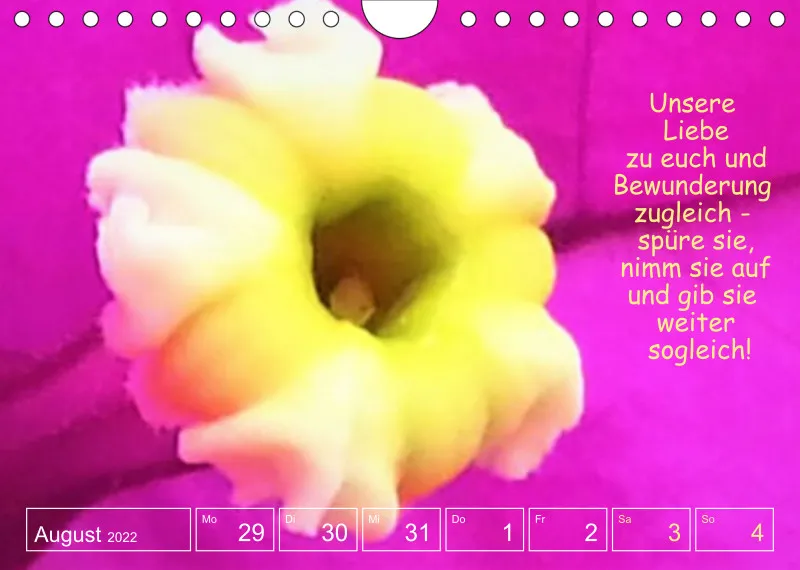 Projekt Nr. 1