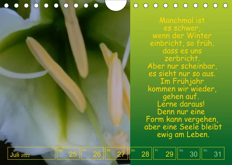 Projekt Nr. 1