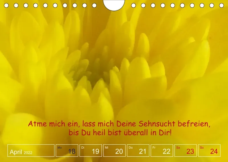 Projekt Nr. 1