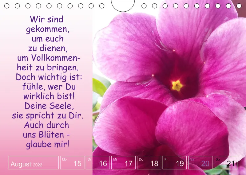 Projekt Nr. 1