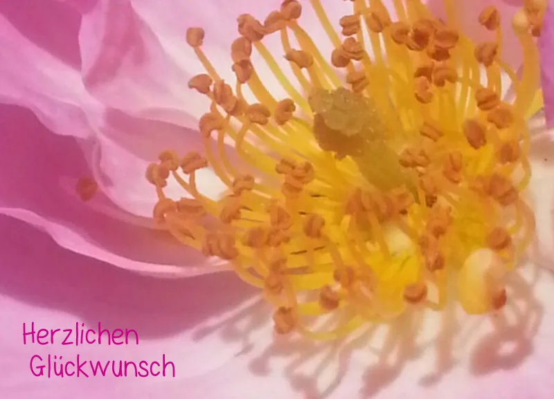 Projekt Nr. 23