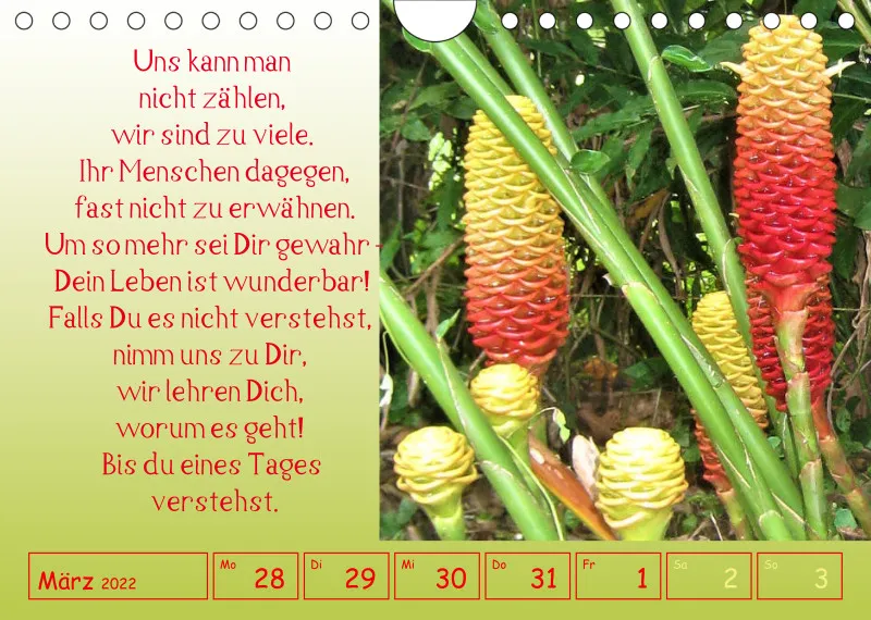 copy: Projekt Nr. 1