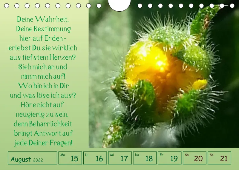 copy: Projekt Nr. 1