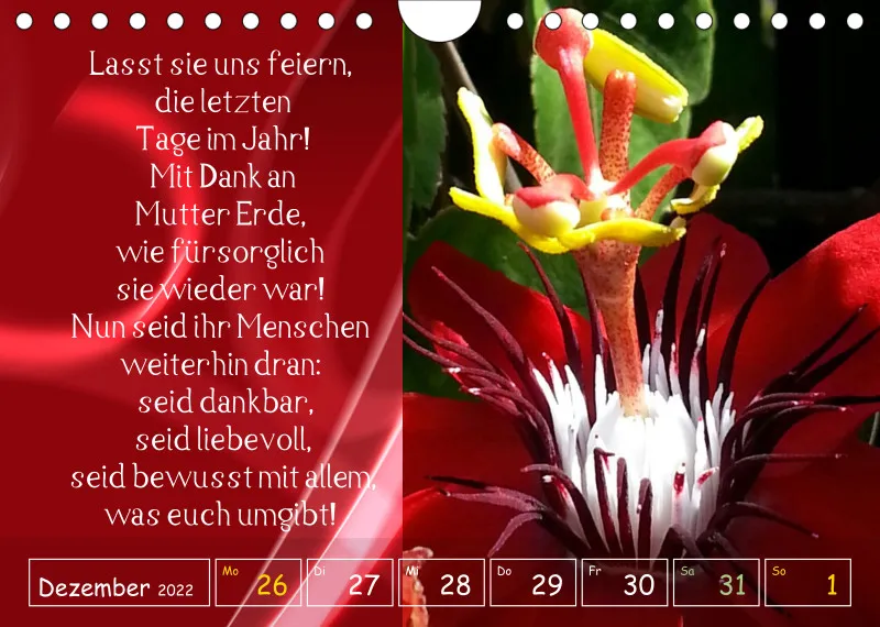 copy: Projekt Nr. 1