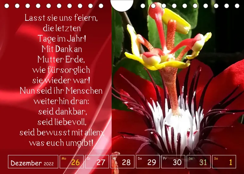 copy: Projekt Nr. 1