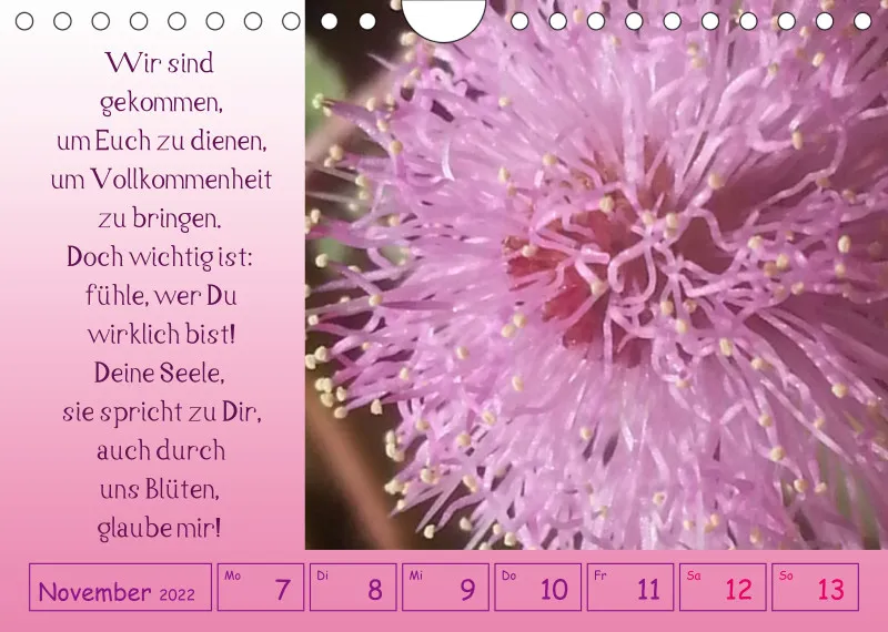 copy: Projekt Nr. 1