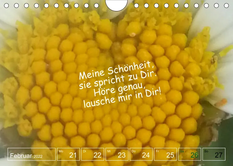 Projekt Nr. 1