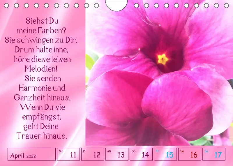 copy: Projekt Nr. 1