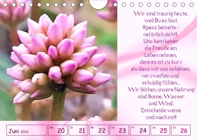 copy: Projekt Nr. 1