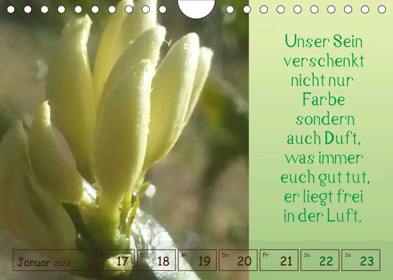 copy: Projekt Nr. 1