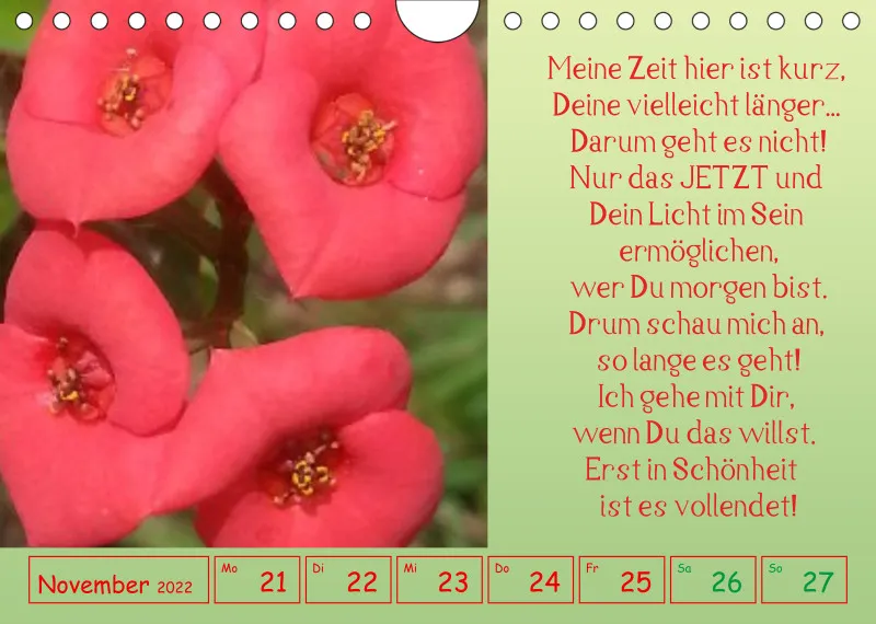 copy: Projekt Nr. 1